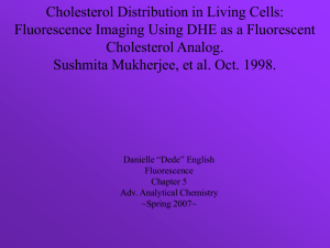 25-NBD Cholesterol