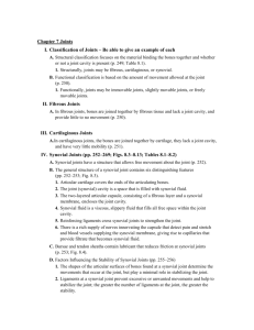 Chapter 7 Joints I. Classification of Joints – Be able to give an