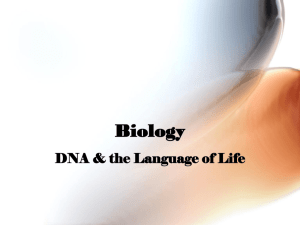 DNA is made up of nucleotides (bases).