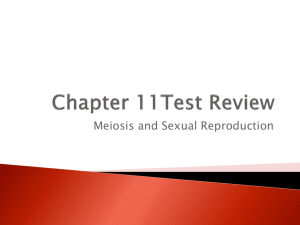 Chapter 11Test Review