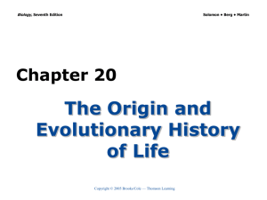 Chapter 20 The Origin and Evolutionary History of