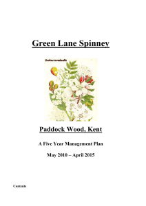 Green Lane Spinney - Paddock Wood Town Council