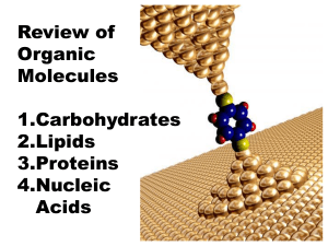 Organic_Molecules - noraddin