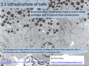 Topic 1.2 slides - biology4friends