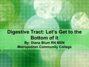 Digestive Tract: Let's Get to the Bottom of it