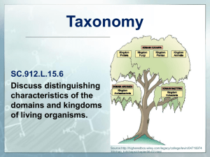L.15.6 Taxonomy