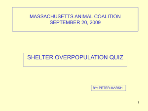 NEW: Shelter Overpopulation - MSPCA