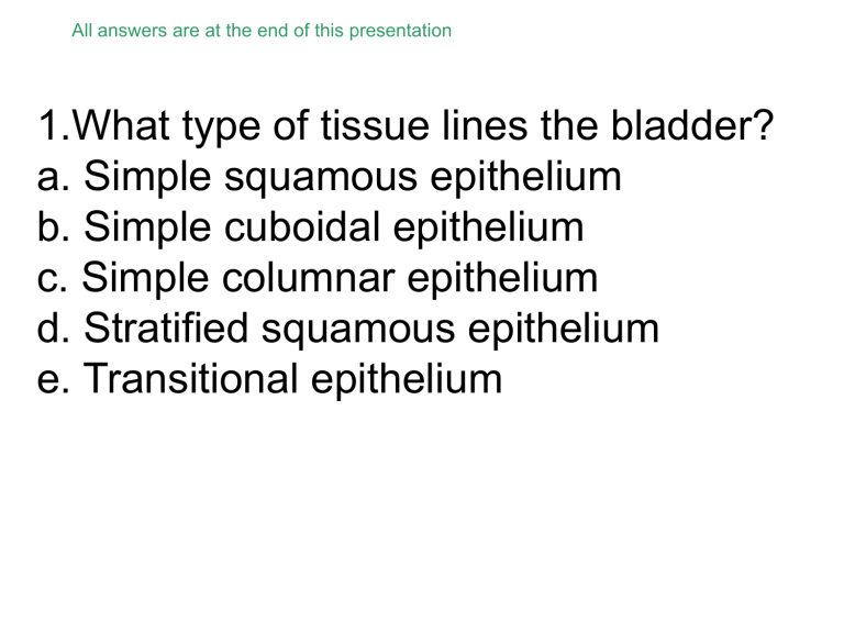 Tissue practice quiz