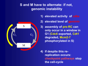 cellcycle5