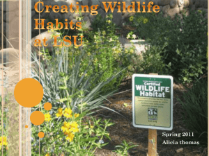 Wildlife Habitat - exploringsustainabilitylsu