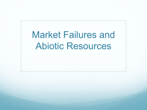 Market Failures and Abiotic Resources