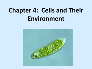 Chapter 4 ppt 10