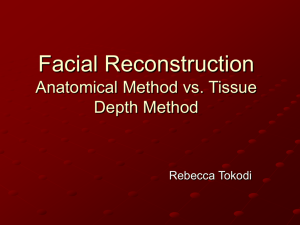 Facial Reconstruction Anatomical Method vs. Tissue Depth Method