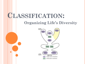 Classification: Organizing Life's Diversity