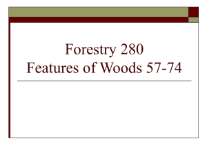 Woods 57-74, with notations