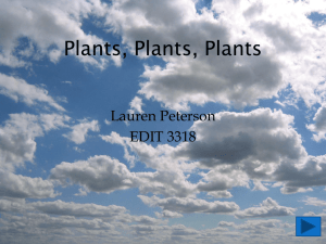 Plants, Plants, Plants
