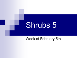 Shrubs 5 Feb 5 2014
