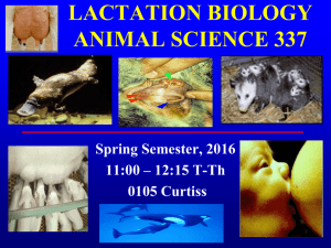LACTATION BIOLOGY ANIMAL SCIENCE 337