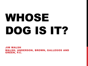 Walsh, Anderson PPT "Whose dog is it"