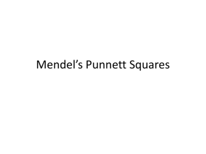 Mendel*s Punnet Squares