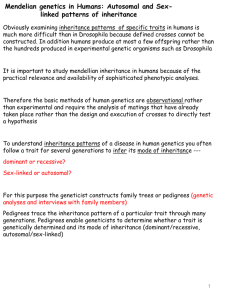 Prof. Kamakaka's Lecture 4B Notes (PPT)