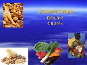 Lecture carbohydrates313