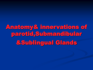 Anatomy& innervations of parotid, submandibular & sublingual glands