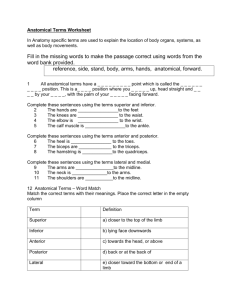 Anatomical Terms Worksheet In Anatomy specific terms are used to
