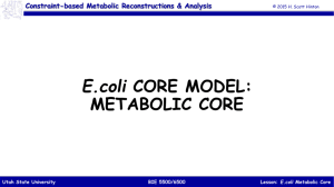 Lesson: E.coli Metabolic Core BIE 5500/6500 Utah State University