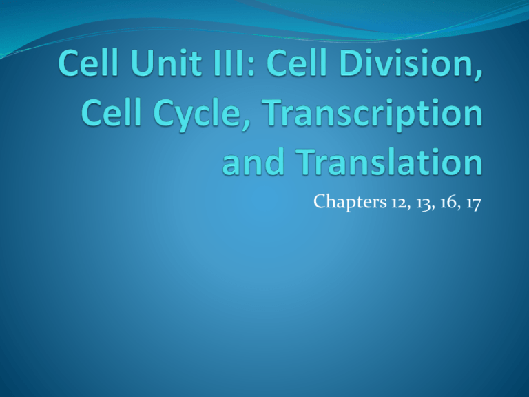 Cell Growth Division