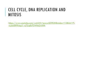 Cell Cycle, DNA & Mitosis PPT