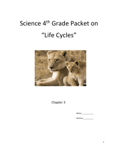 Ch 3 Life Cycle