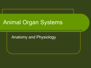 Animal Organ Systems - NAAE Communities of Practice