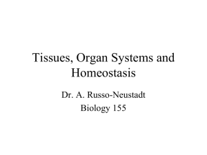 Tissues & Organs