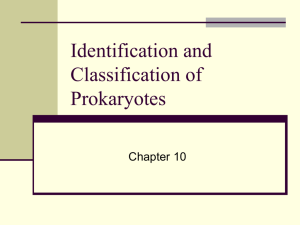 Identification and Classification of Prokaryote
