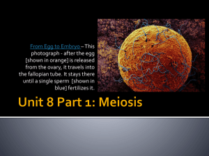 Unit 8 - Meiosis