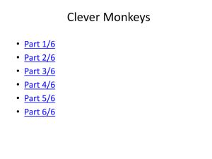 Clever Monkeys Part 5