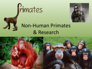 Non-Human Primates & Research
