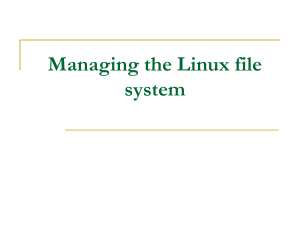 Describe the Linux file system