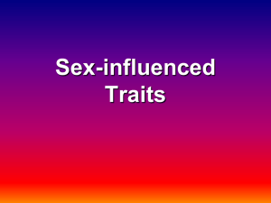 Sex Influenced Traits PowerPoint