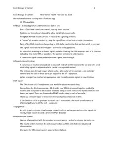 Basic Biology of Cancer Basic Biology of Cancer REAP Senior