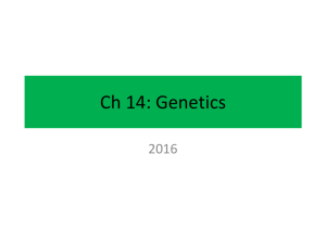 Ch14Genetics