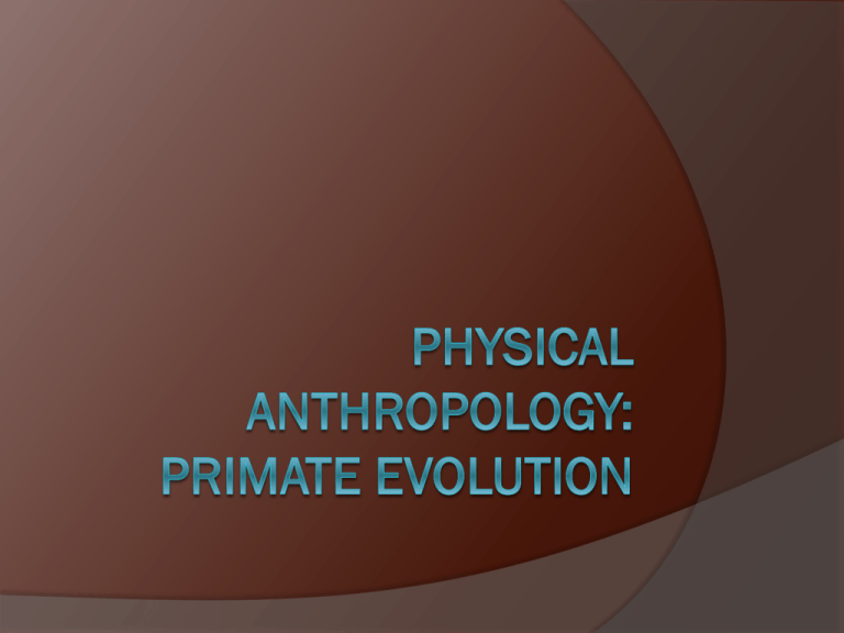 anthropology primate research paper