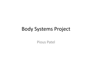 Body Systems Project - local.brookings.k12.sd.us