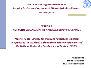 Global Strategy for Improving Agricultural Statistics presentation