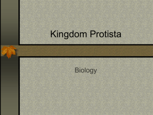 Kingdom Protista - School District of La Crosse