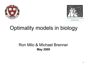 Optimality models in biology nanocourse @ Harvard
