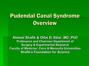 Pudendal canal syndrome overview
