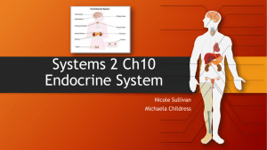 System 2 Endocrine System 2 Endocrine