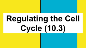 Regulating the Cell Cycle (10.3)